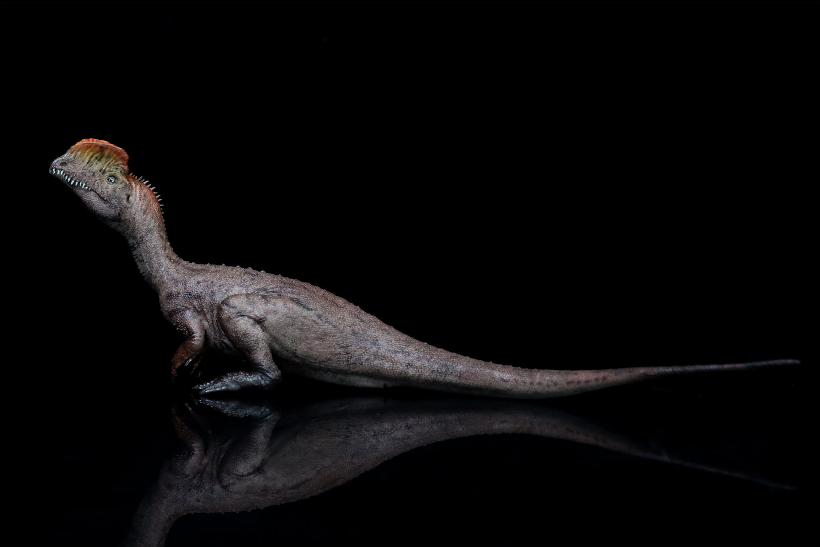 HAOLONGGOOD 1:35 Scale Dilophosaurus Pair Model