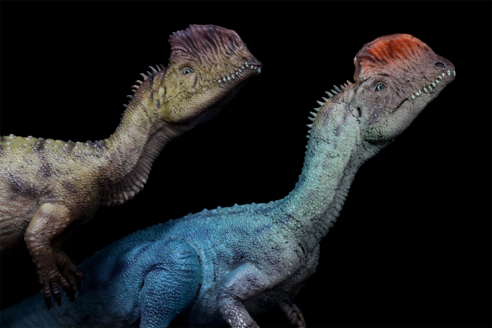 HAOLONGGOOD 1:35 Scale Dilophosaurus Pair Model