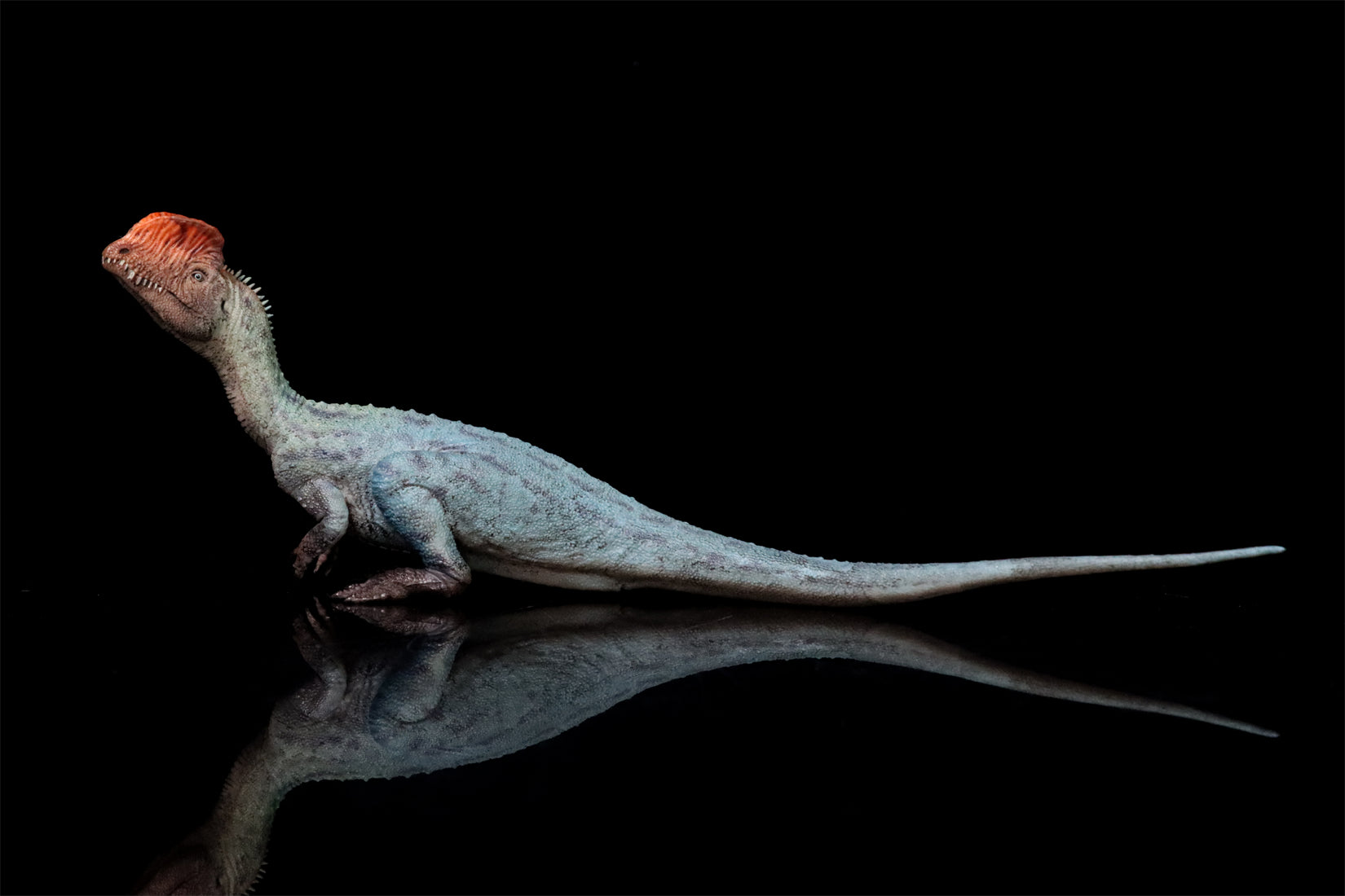 HAOLONGGOOD 1:35 Scale Dilophosaurus Pair Model