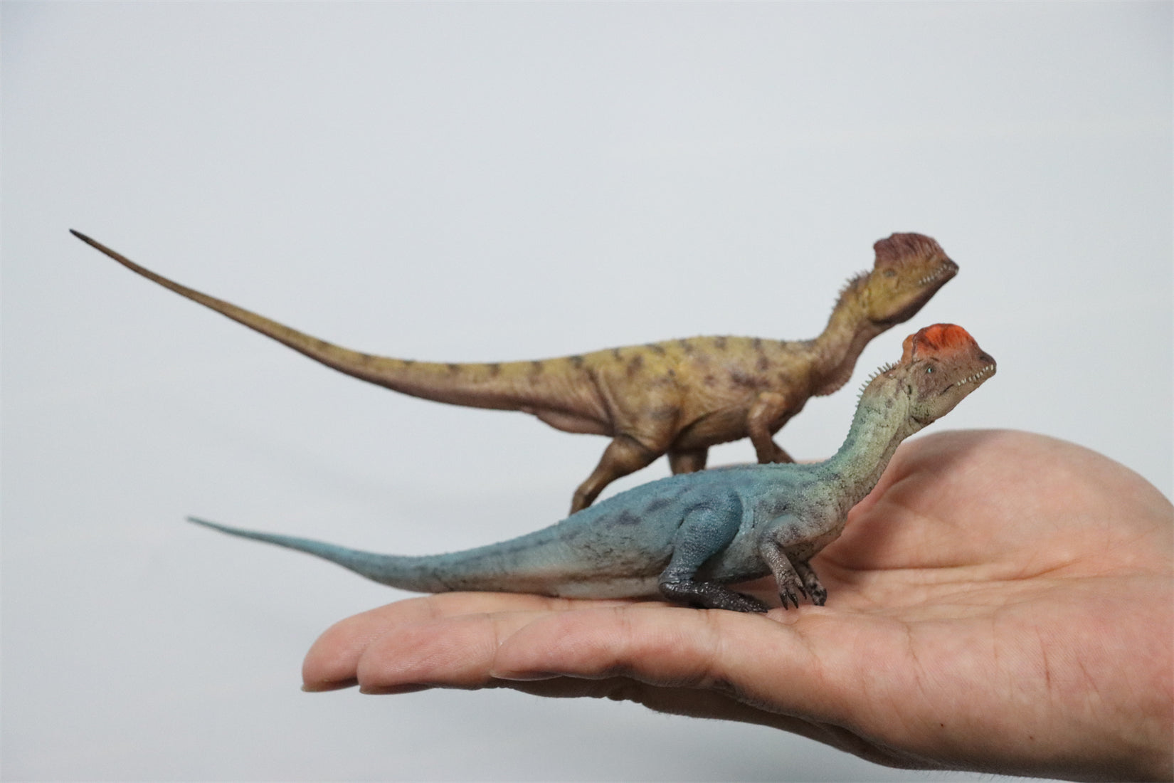 HAOLONGGOOD 1:35 Scale Dilophosaurus Pair Model