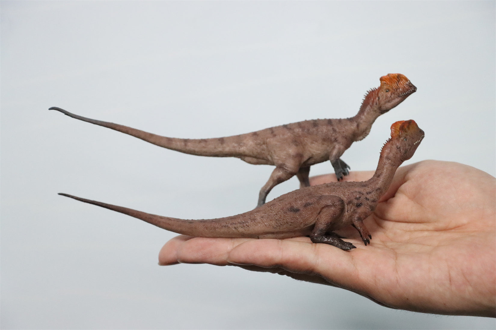 HAOLONGGOOD 1:35 Scale Dilophosaurus Pair Model