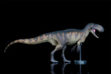 PNSO Yangchuanosaurus Magnus Dapeng Model