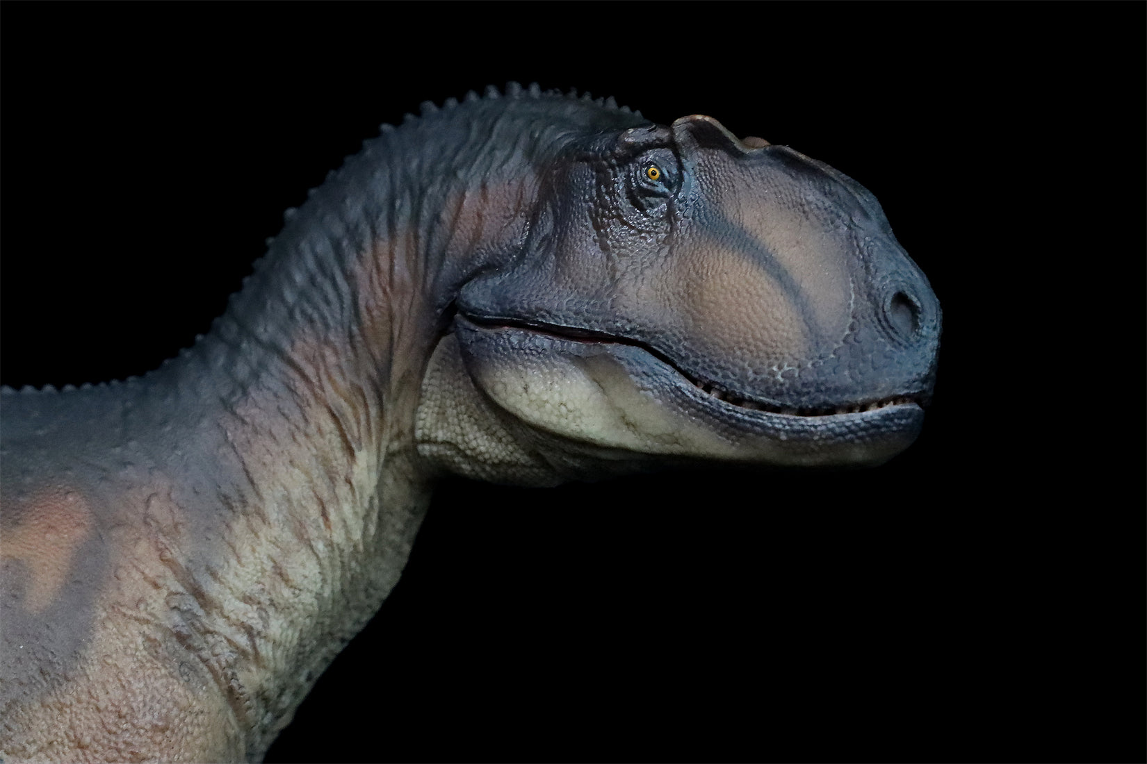 PNSO Yangchuanosaurus Magnus Dapeng Model
