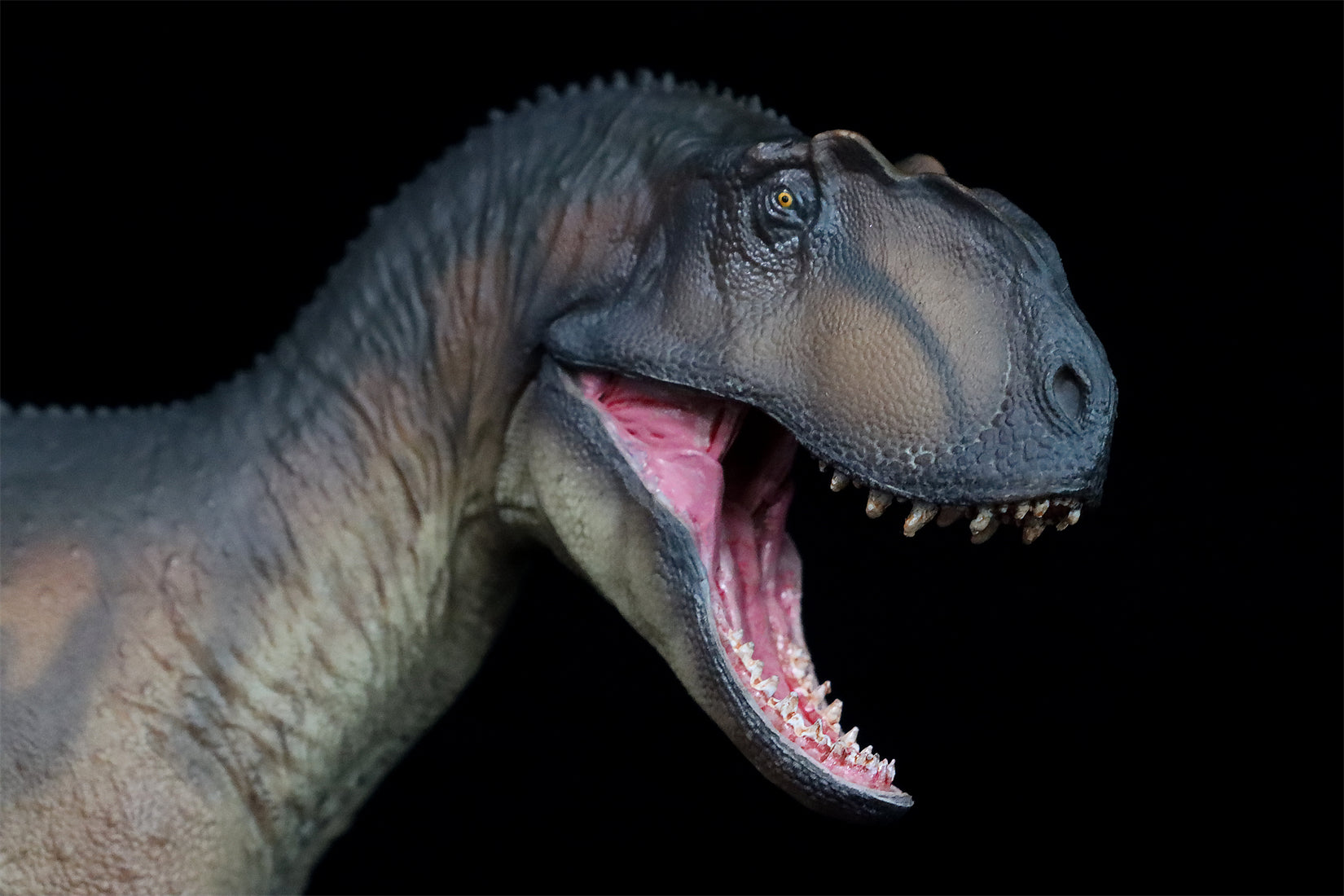 PNSO Yangchuanosaurus Magnus Dapeng Model