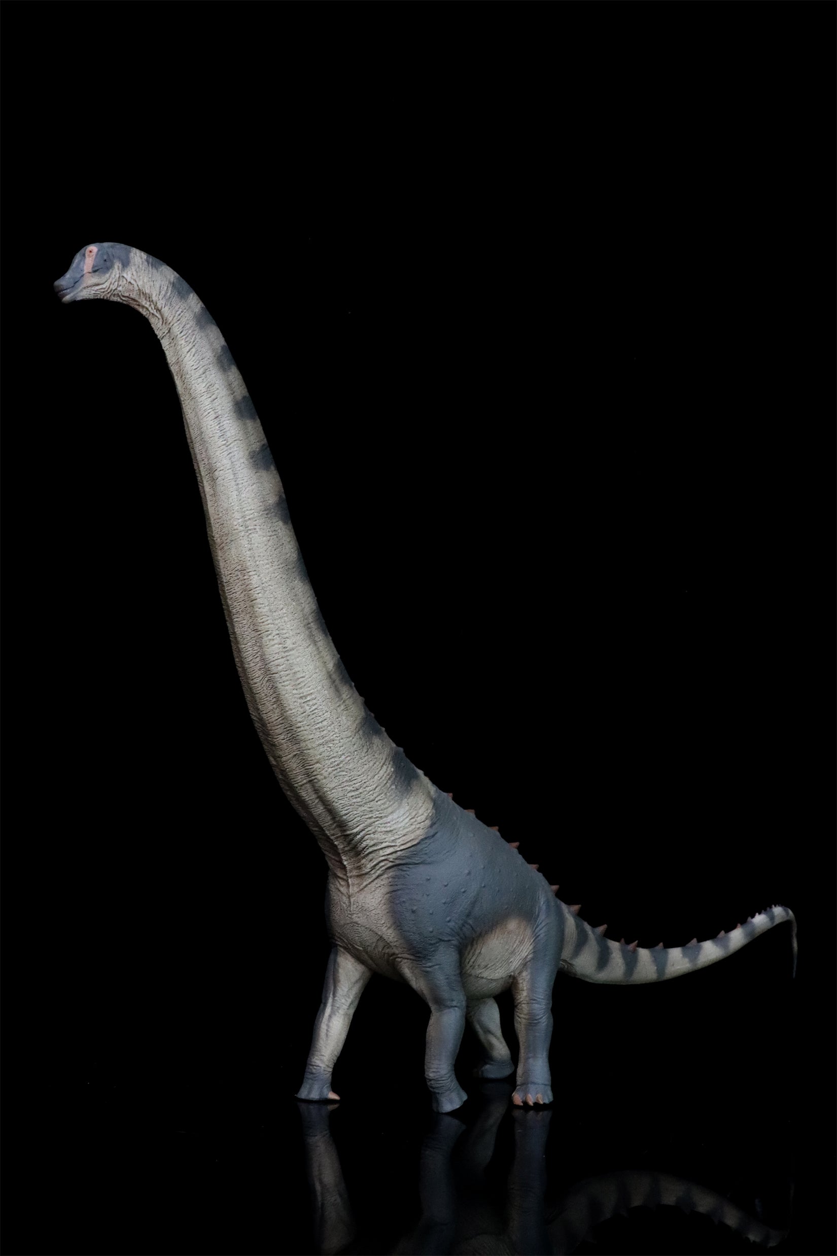 PNSO Alamosaurus Samuel Model