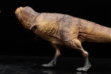 SHOWANNA Studio 1:35 Scale Tyrannosaurus Rex Scotty Model