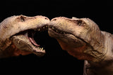 SHOWANNA Studio 1:35 Scale Tyrannosaurus Rex Scotty Model