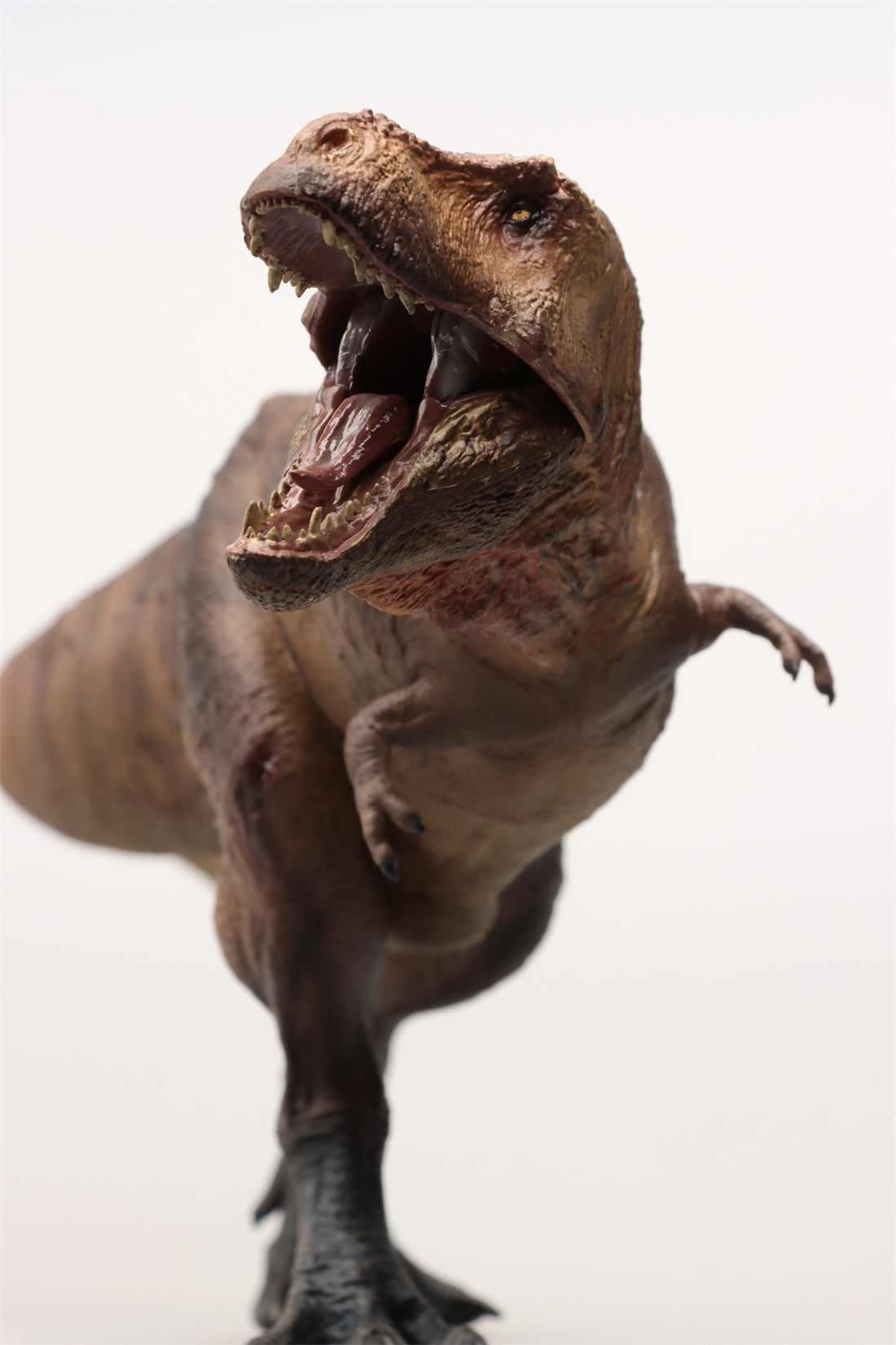 SHOWANNA Studio 1:35 Scale Tyrannosaurus Rex Scotty Model