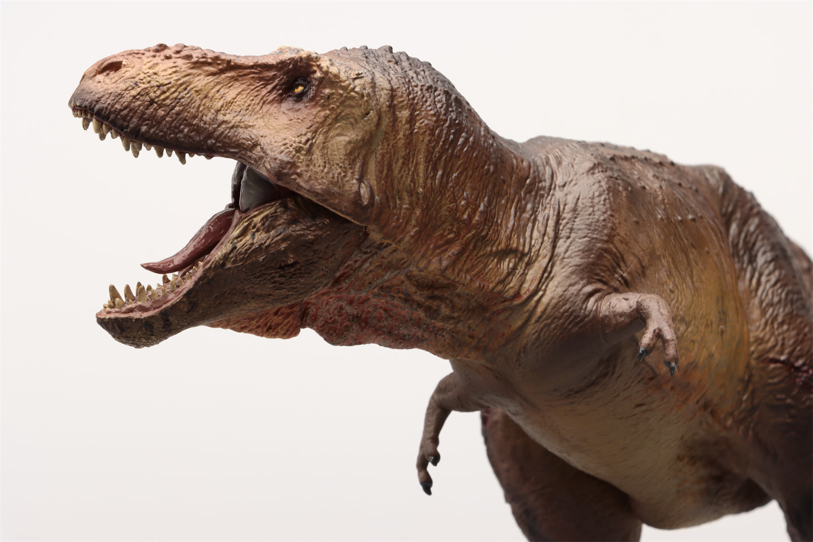 SHOWANNA Studio 1:35 Scale Tyrannosaurus Rex Scotty Model