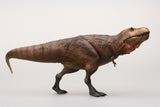 SHOWANNA Studio 1:35 Scale Tyrannosaurus Rex Scotty Model