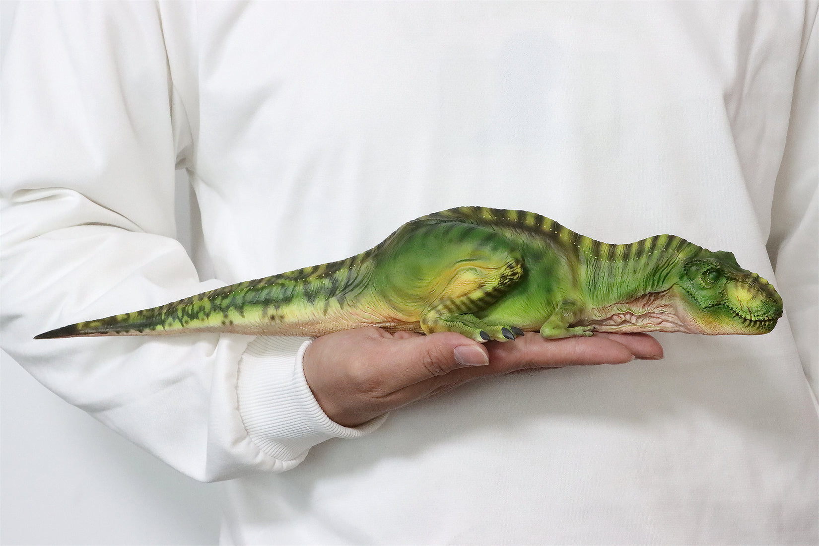 DINO DREAM 1/30 Scale Sleeping Trex Scene