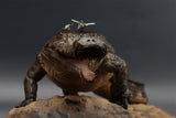 Anningpale 1:18 Scale Sarcosuchus imperator Model