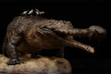 Anningpale 1:18 Scale Sarcosuchus imperator Model