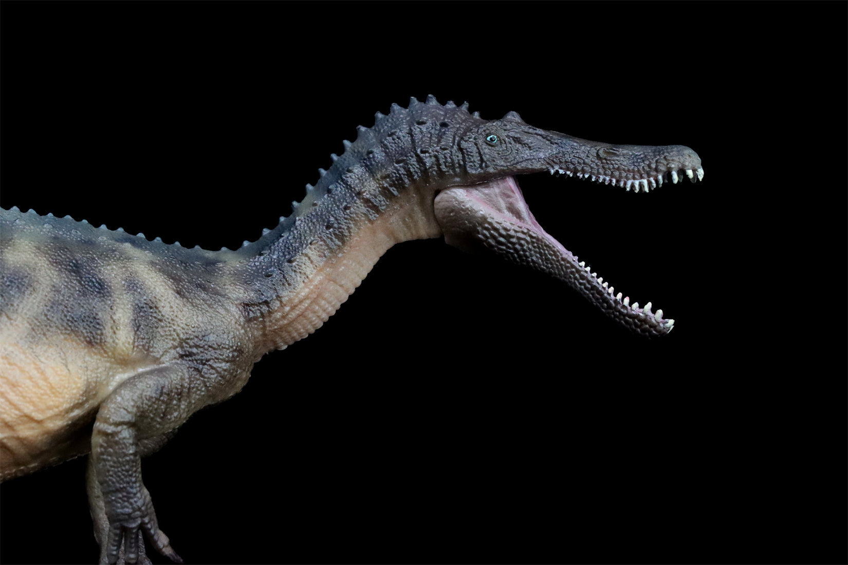 HAOLONGGOOD 1:35 Scale Baryonyx Model