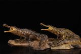 Anningpale 1:35 Scale Sarcosuchus imperator Model