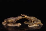 Anningpale 1:35 Scale Sarcosuchus imperator Model