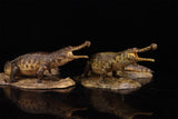 Anningpale 1:35 Scale Sarcosuchus imperator Model