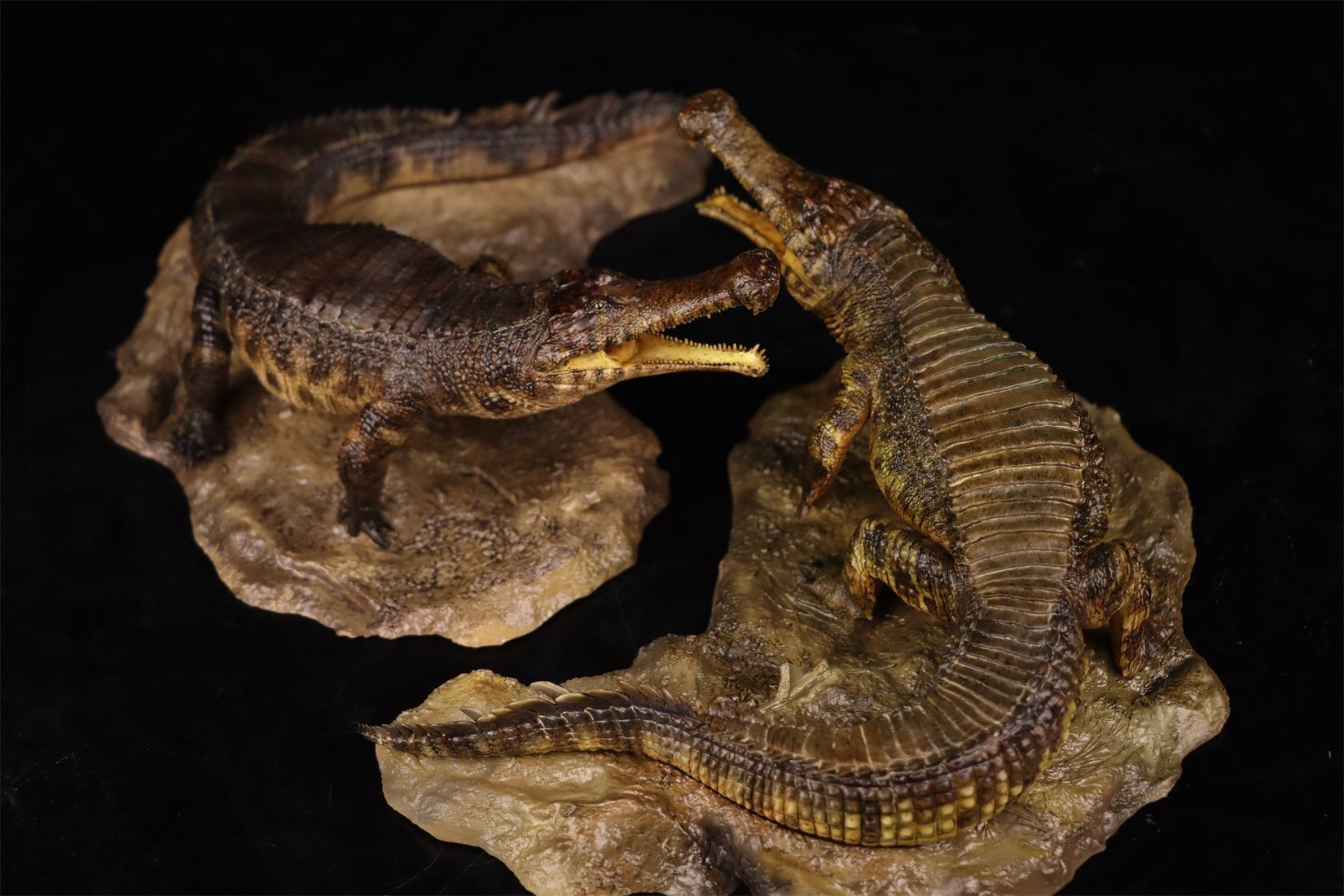 Anningpale 1:35 Scale Sarcosuchus imperator Model