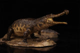 Anningpale 1:35 Scale Sarcosuchus imperator Model