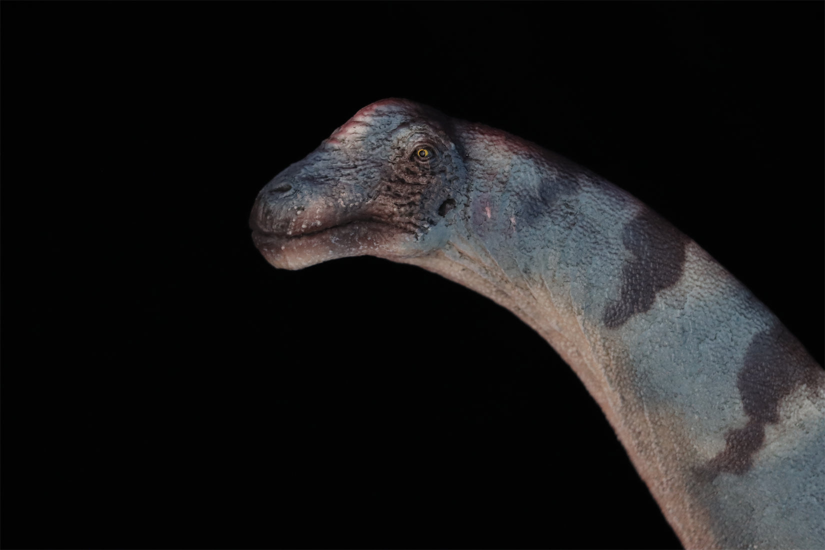 HAOLONGGOOD 1:35 Scale Alamosaurus Model