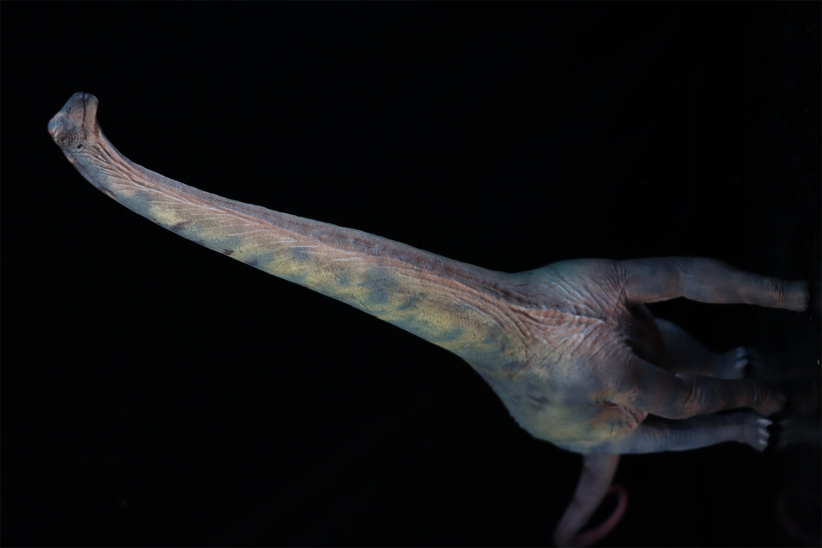 HAOLONGGOOD 1:35 Scale Alamosaurus Model