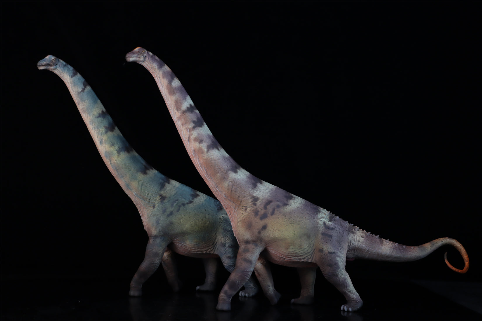 HAOLONGGOOD 1:35 Scale Alamosaurus Model