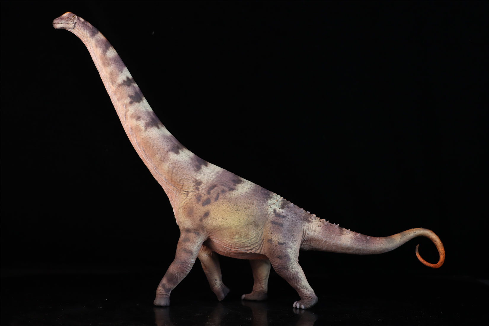 HAOLONGGOOD 1:35 Scale Alamosaurus Model