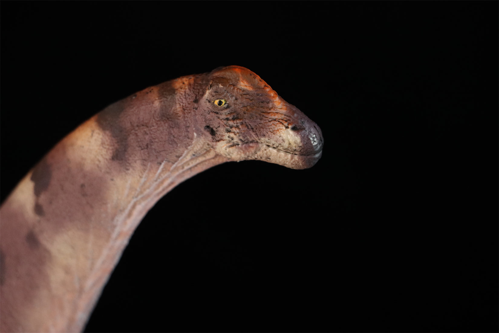 HAOLONGGOOD 1:35 Scale Alamosaurus Model