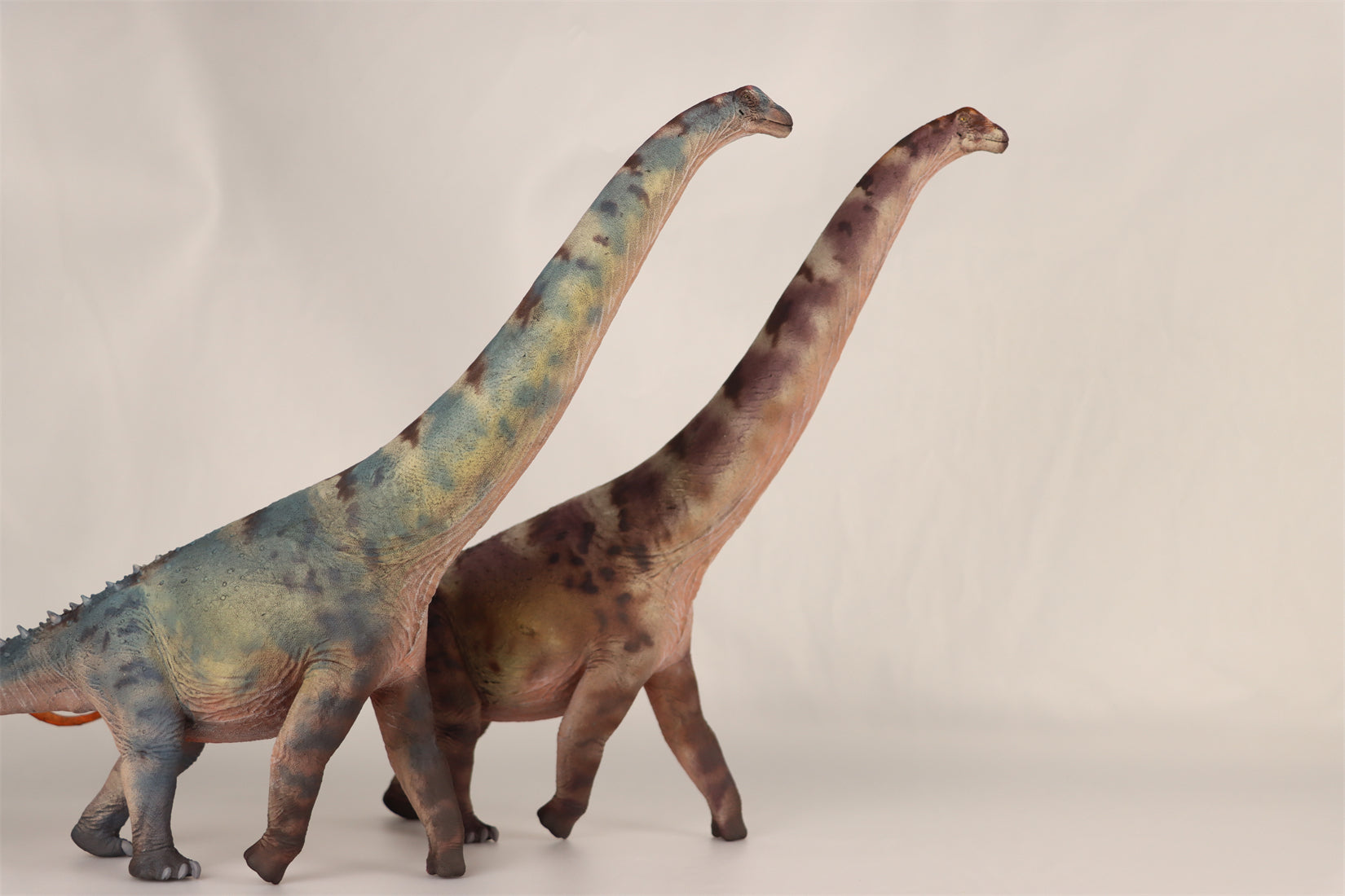 HAOLONGGOOD 1:35 Scale Alamosaurus Model
