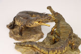 Anningpale 1:35 Scale Sarcosuchus imperator Model