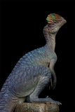 1/20 Scale Dilophosaurus Scene Model