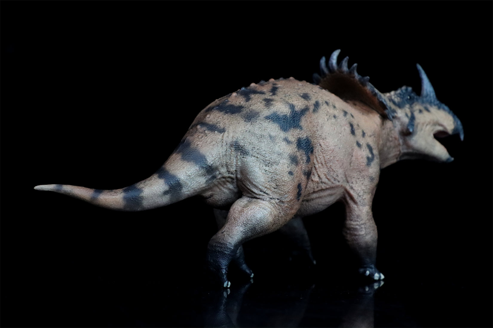 HAOLONGGOOD 1:35 Scale Sinoceratops Model