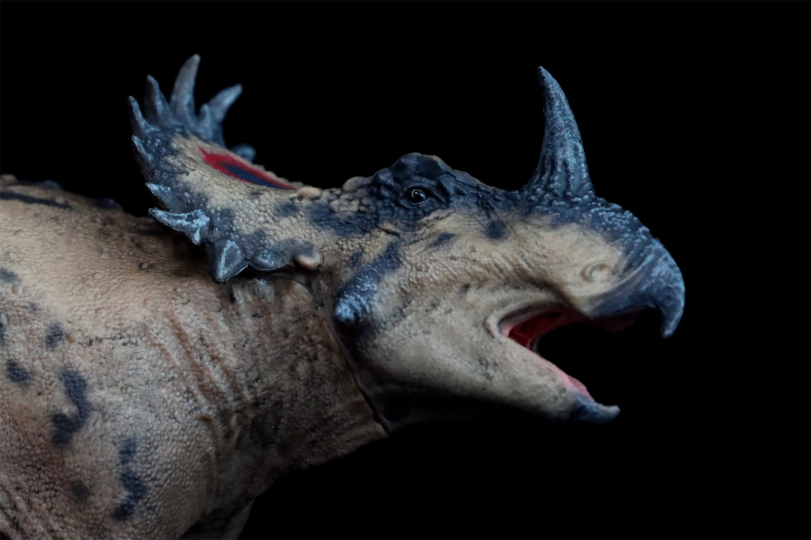 HAOLONGGOOD 1:35 Scale Sinoceratops Model