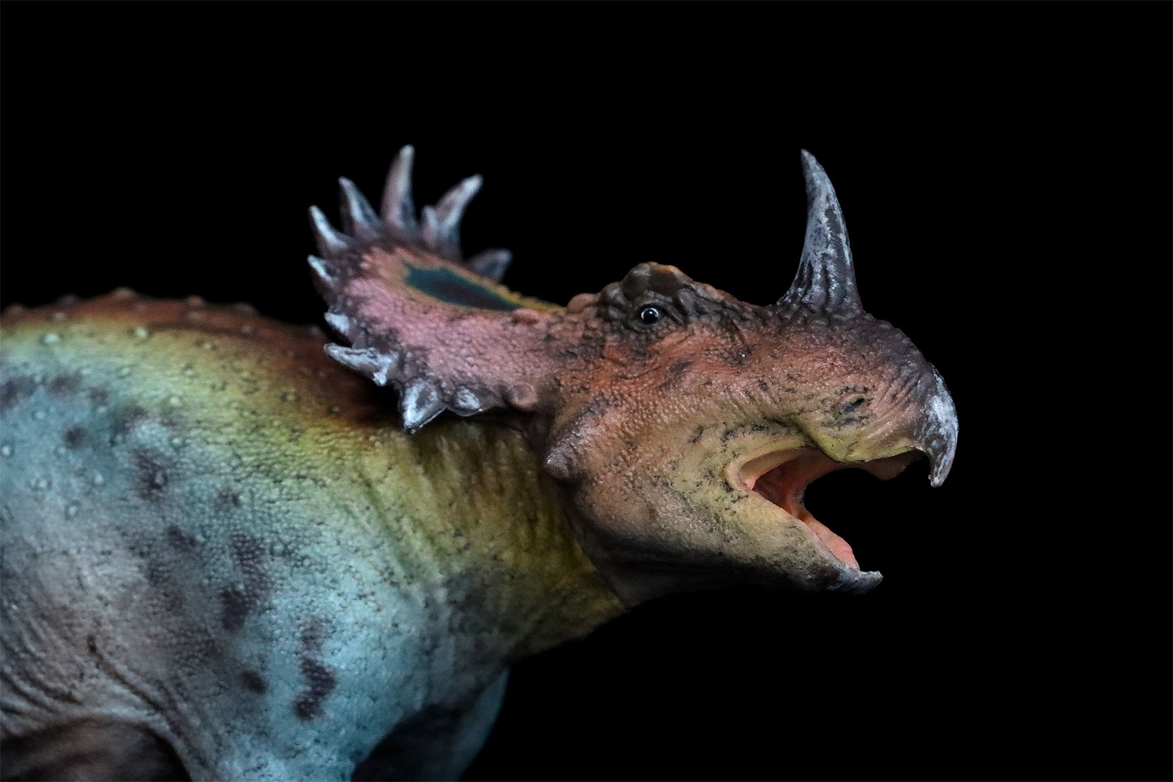 HAOLONGGOOD 1:35 Scale Sinoceratops Model