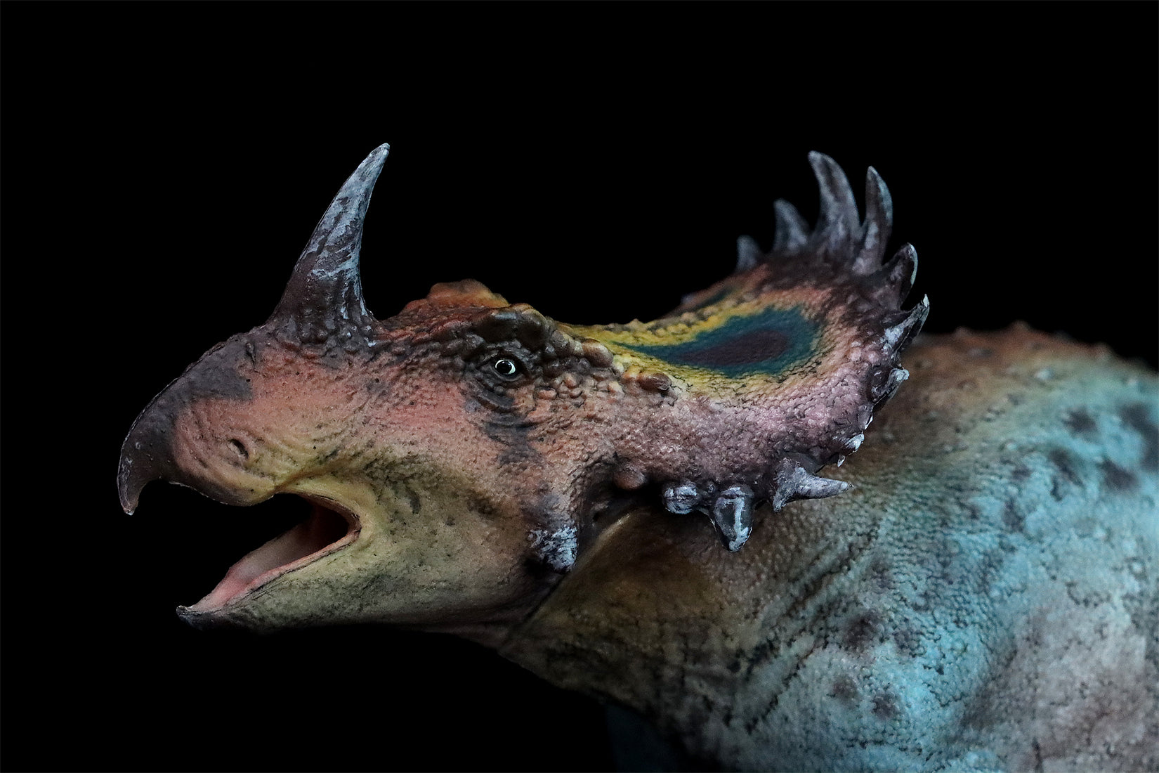 HAOLONGGOOD 1:35 Scale Sinoceratops Model