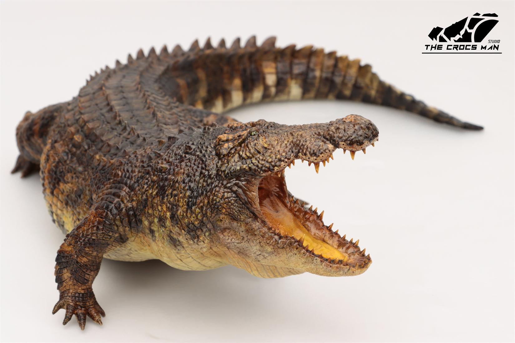 The Crocs Man Studio Nile Crocodile Gustave Model