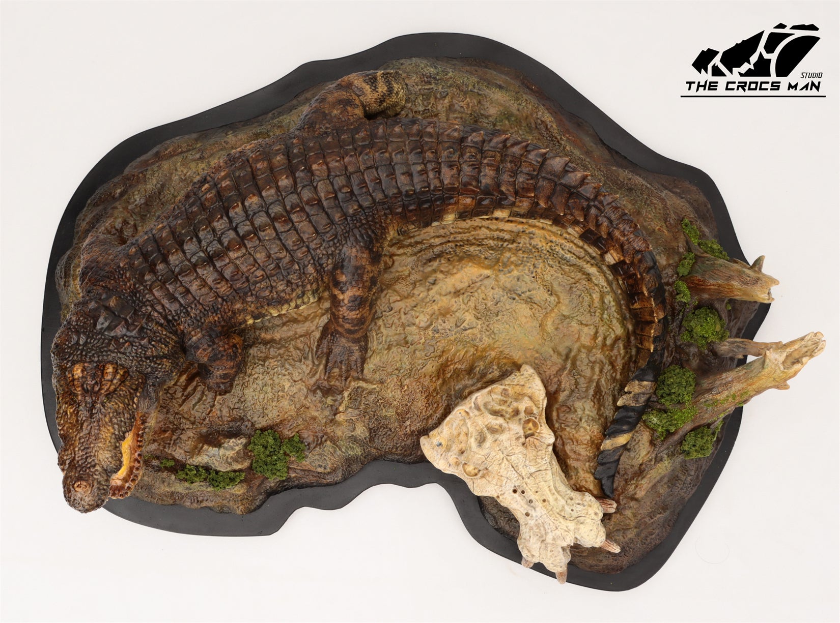 The Crocs Man Studio Nile Crocodile Gustave Model