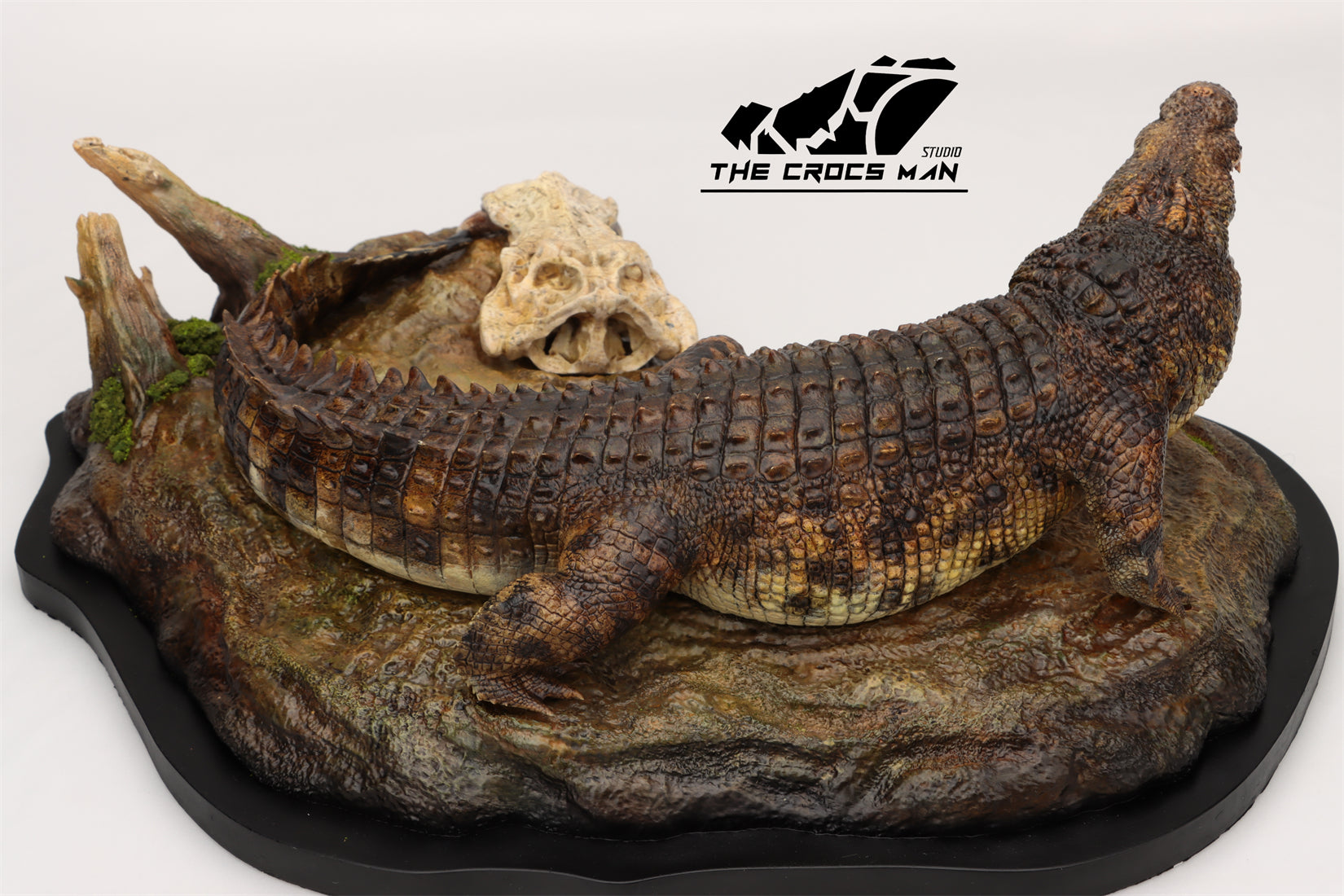The Crocs Man Studio Nile Crocodile Gustave Model