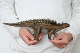 TNG Quetzalcoatlus Cryolophosaurus Saichania Sinosauropteryx Parasaurolophus Figure