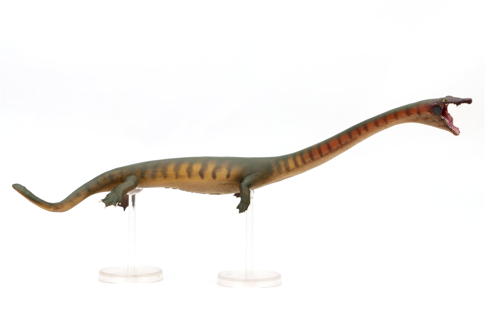 PNSO 91 Xiaochong Dinocephalosaurus Model