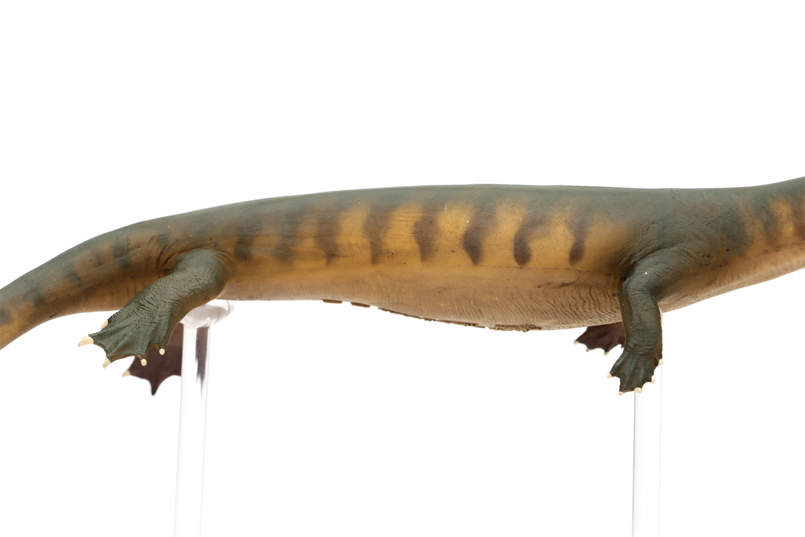 PNSO 91 Xiaochong Dinocephalosaurus Model