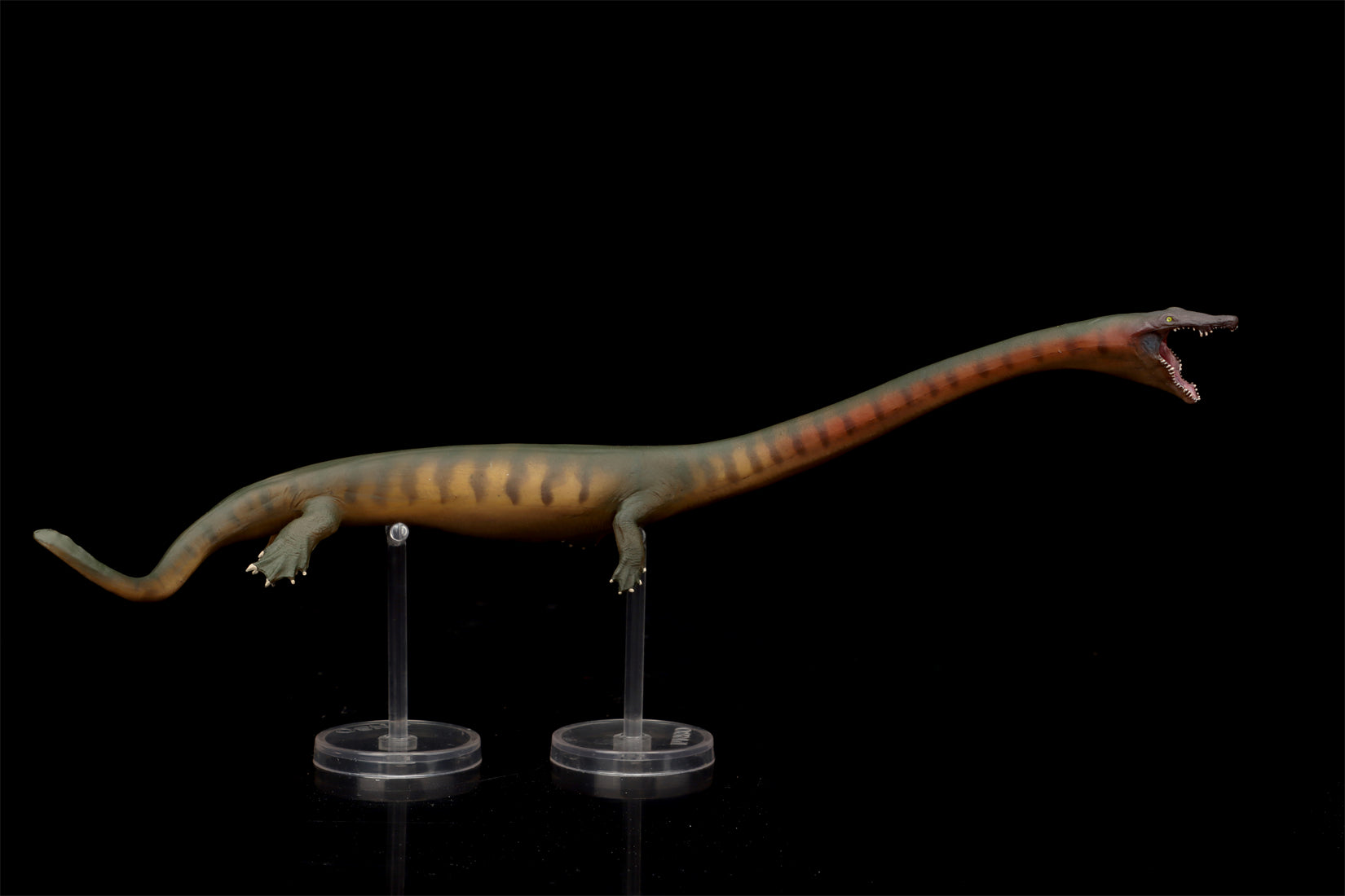 PNSO 91 Xiaochong Dinocephalosaurus Model