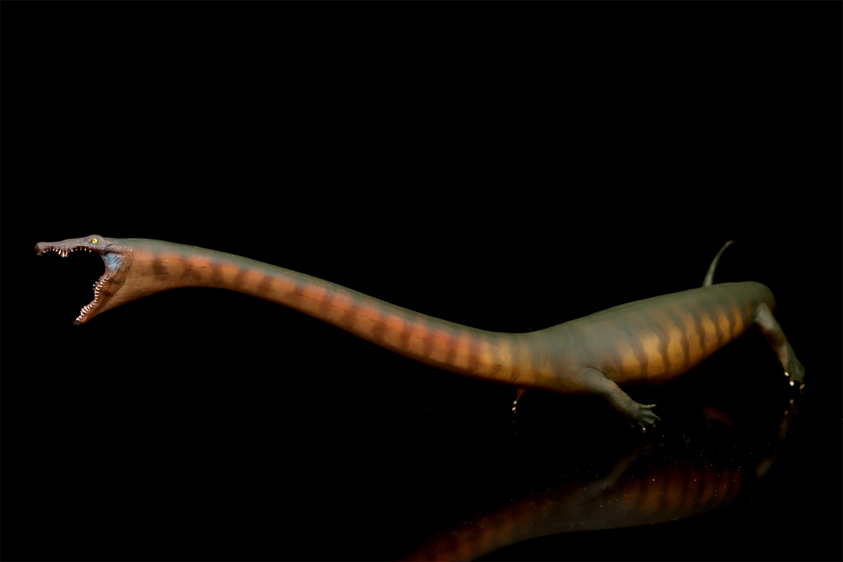 PNSO 91 Xiaochong Dinocephalosaurus Model