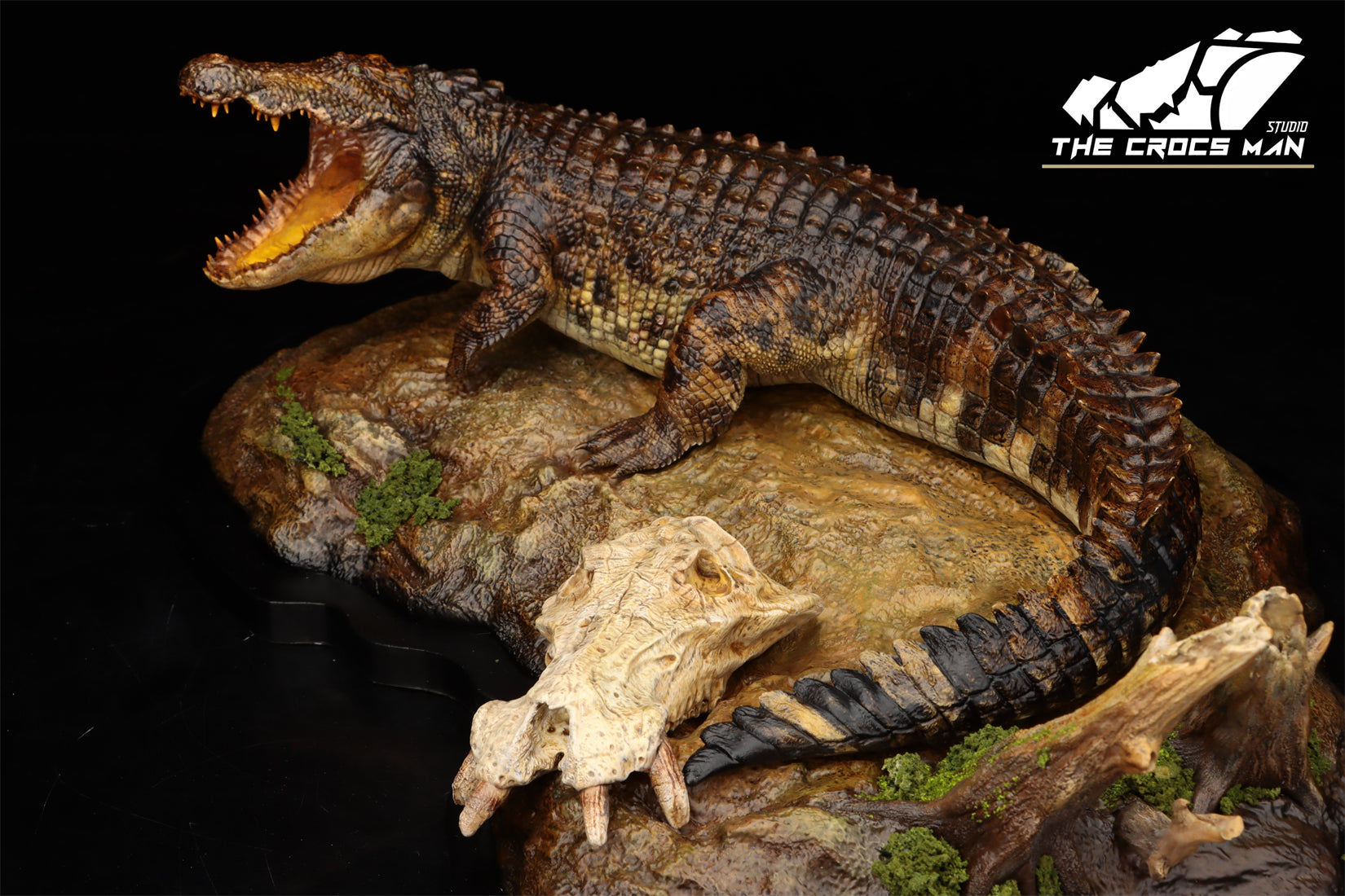 The Crocs Man Studio Nile Crocodile Gustave Model