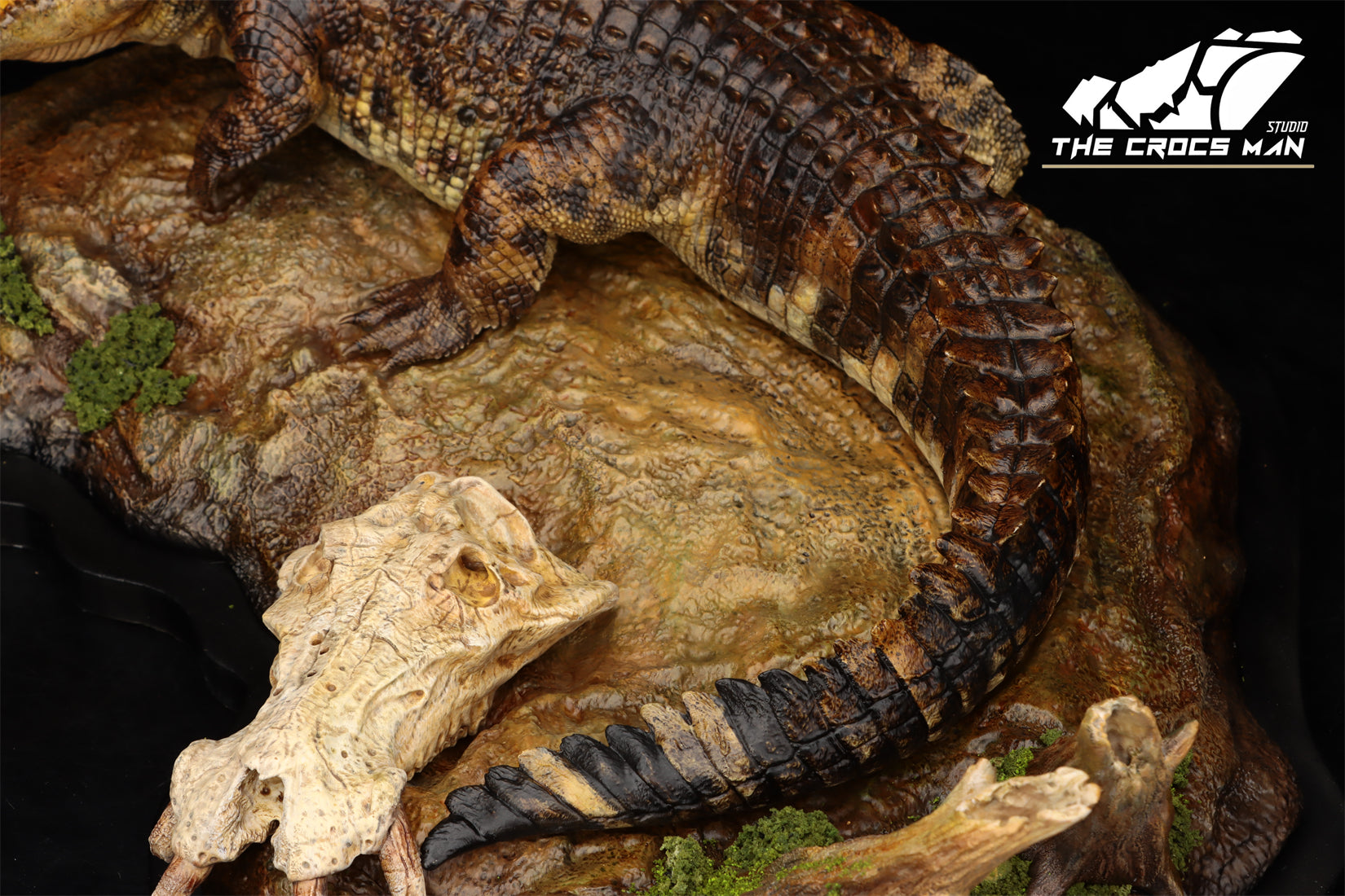 The Crocs Man Studio Nile Crocodile Gustave Model