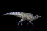 PNSO Edmontosaurus Zabad Model