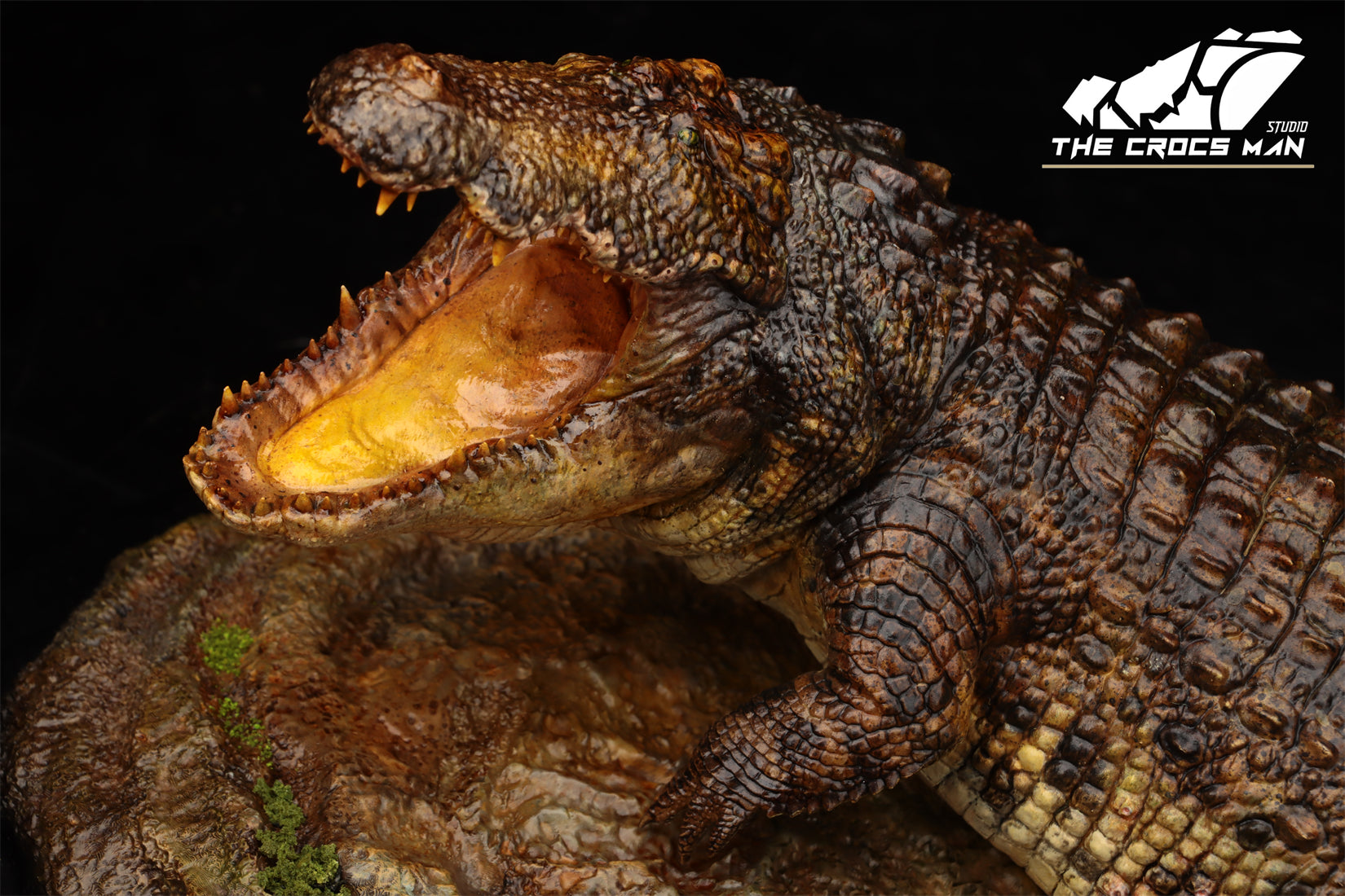 The Crocs Man Studio Nile Crocodile Gustave Model