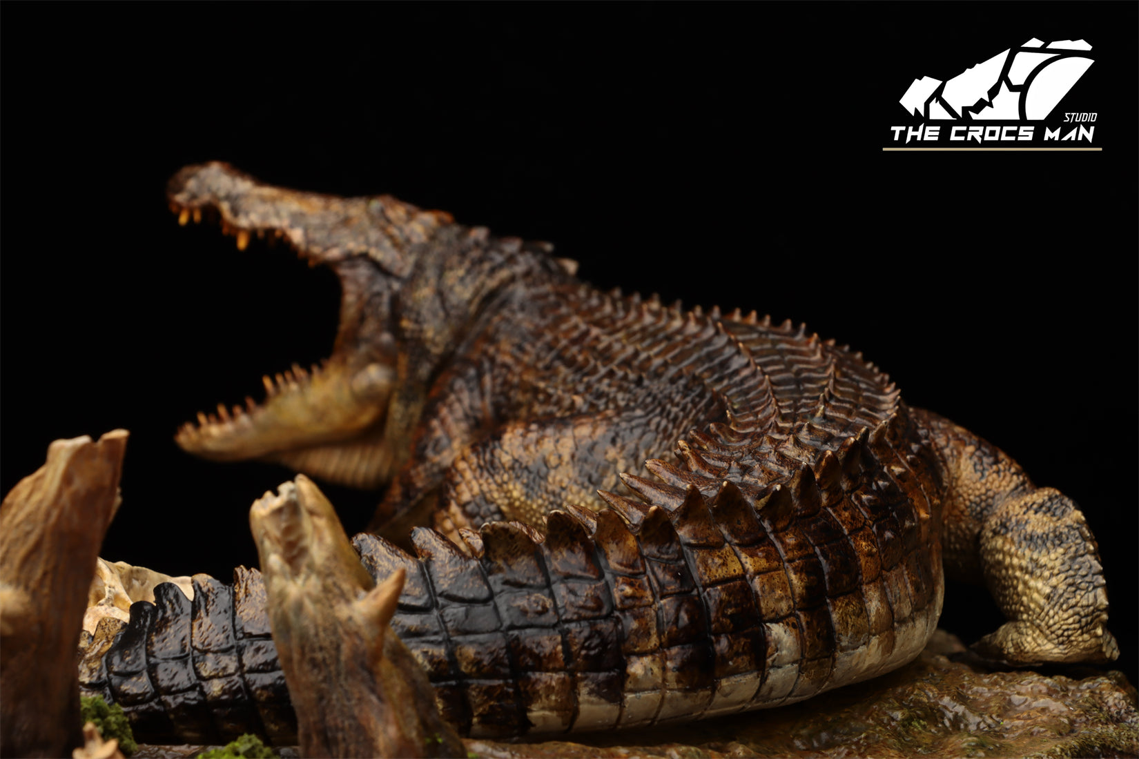 The Crocs Man Studio Nile Crocodile Gustave Model