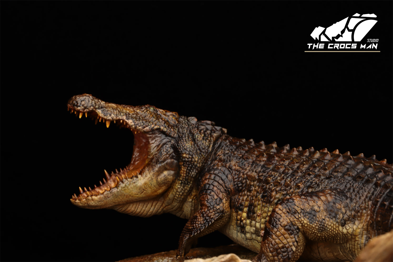 The Crocs Man Studio Nile Crocodile Gustave Model