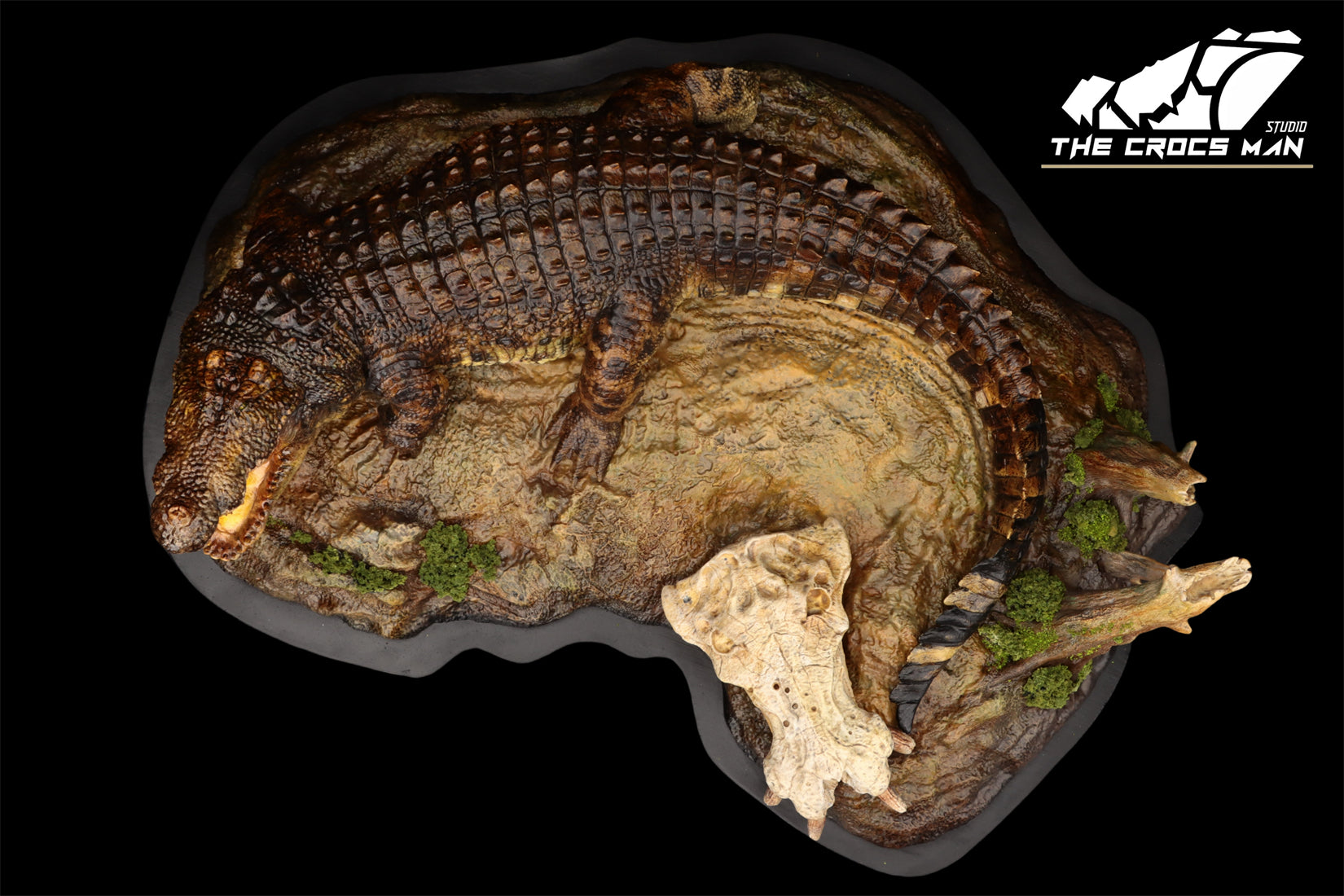 The Crocs Man Studio Nile Crocodile Gustave Model